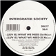 Intergrated Society - (Luv Is) What We Need