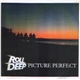 Roll Deep - Picture Perfect